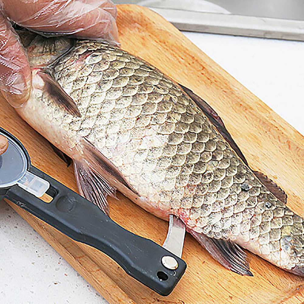 Practical Fish Scale Remover Plastic Descaler Cleaning Scraper - ArtInk eXpress